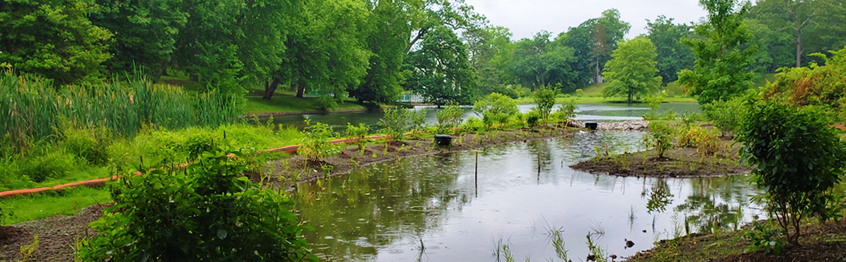 Green Stormwater Infrastructure